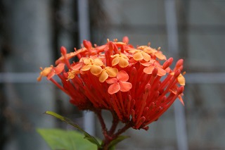 DSC02472.jpg