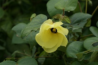 DSC02531.jpg