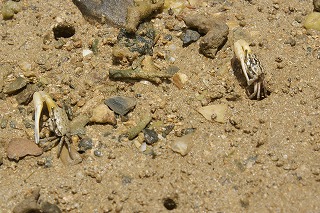 DSC02557.jpg