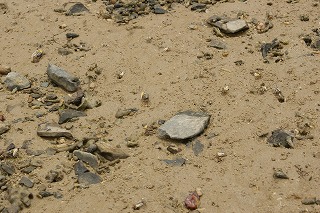 DSC02566.jpg