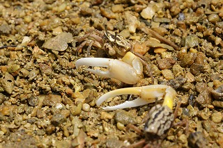 DSC02669.jpg