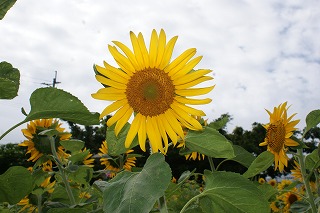 DSC02717.jpg