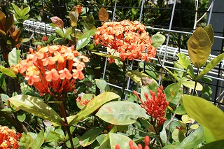 DSC02751.jpg