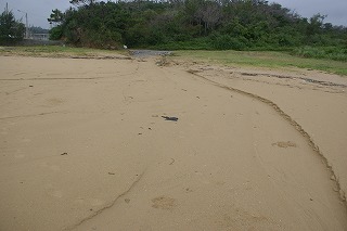 DSC02812.jpg