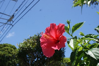 DSC02838.jpg