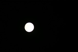 DSC02926.jpg