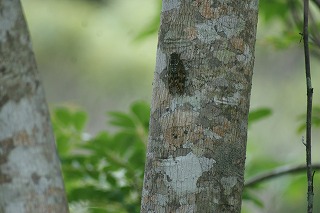 DSC02975.jpg