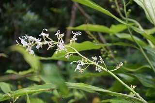 DSC02980.jpg
