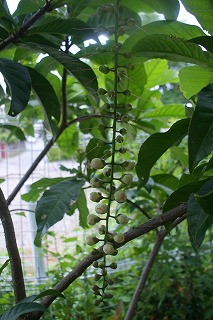 DSC03029.jpg