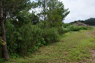 DSC03058.jpg
