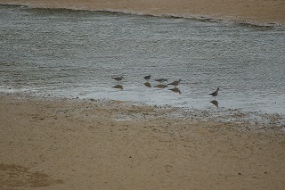 DSC03098.jpg