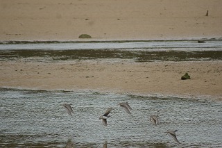 DSC03099.jpg