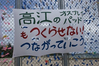 DSC03279.jpg