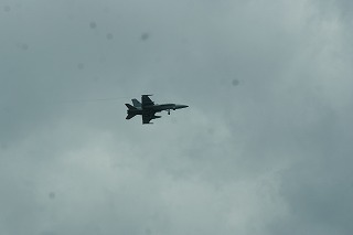 DSC03344.jpg