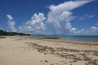 DSC03393.jpg