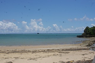 DSC03394.jpg