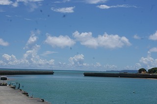DSC03395.jpg