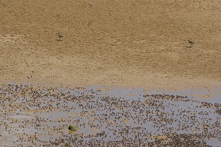 DSC03401.jpg