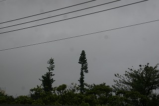 DSC03419.jpg