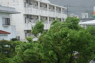 DSC03425.jpg