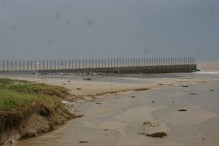 DSC03457a.jpg