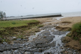 DSC03464.jpg