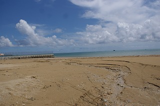 DSC03525.jpg