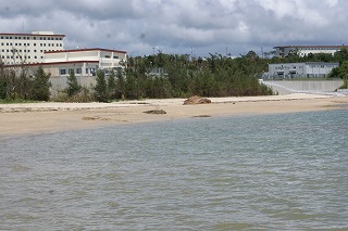 DSC03533.jpg