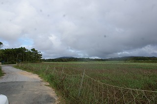 DSC03578.jpg
