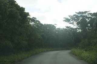 DSC03580.jpg