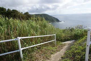DSC03589.jpg