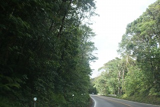 DSC03604.jpg