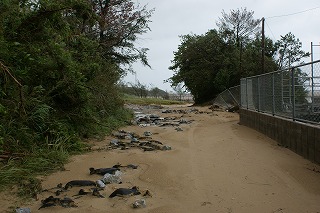 DSC03757.jpg