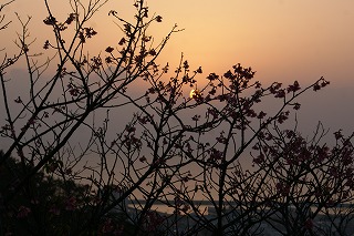 DSC05446.jpg