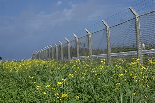 DSC08054.jpg