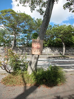 DSCN9839.jpg