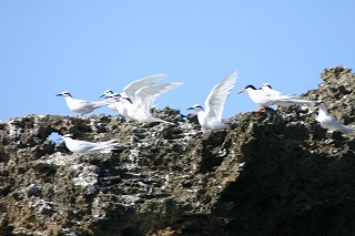 IMG_3954I.jpg