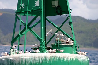 IMG_4163.jpg