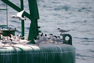 IMG_4188.jpg
