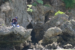 IMG_4202.jpg