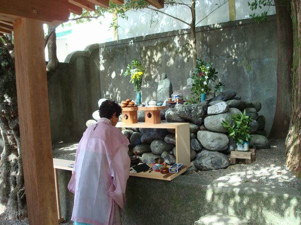 DSC08201.jpg