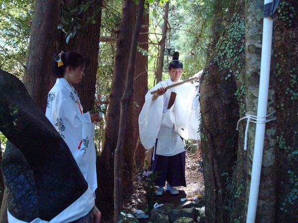 DSC08208.jpg