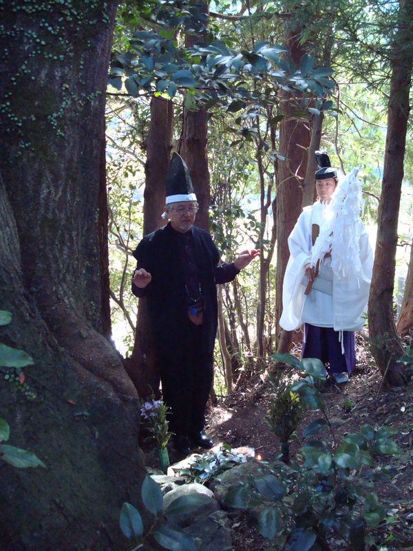DSC08214.jpg