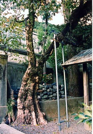 narutama04.jpg