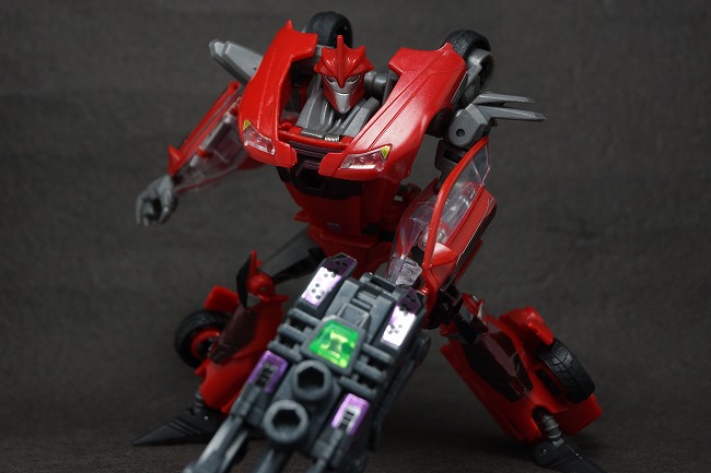 s-DSC07317.jpg