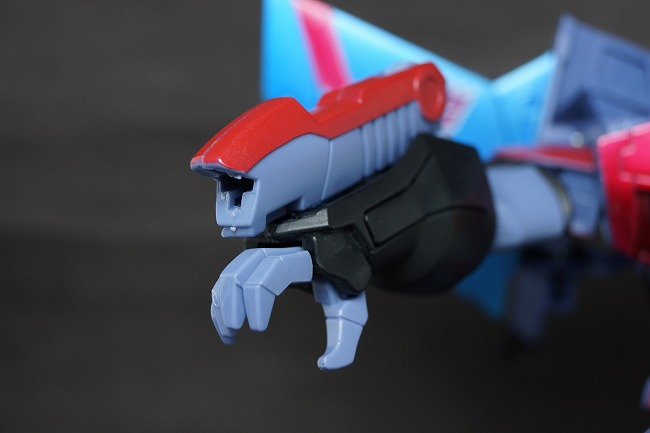s-DSC08310.jpg