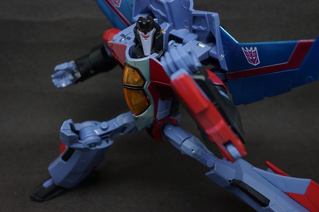 s-DSC08333.jpg