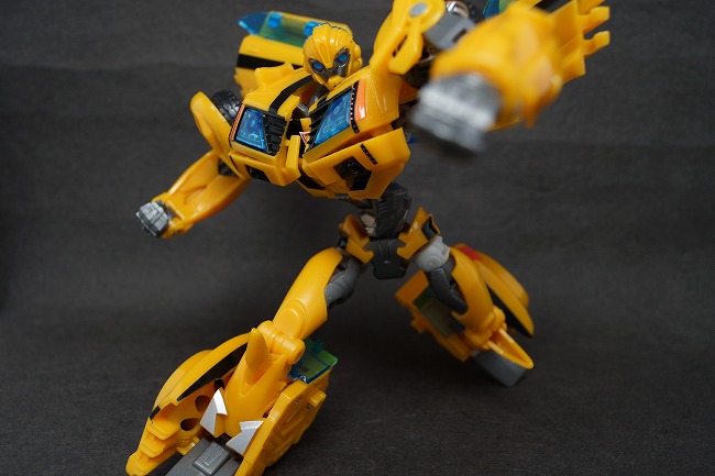 s-DSC08374.jpg