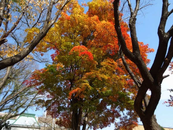 DSC00596.jpg
