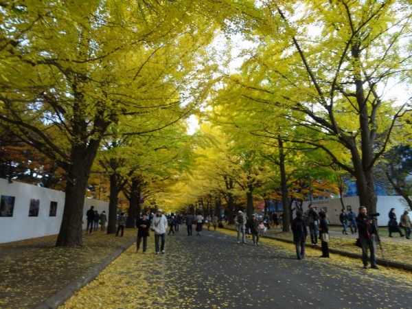 DSC00636.jpg